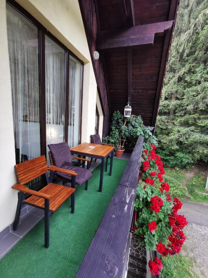 Апартаменты Apartament Kalinderu K1 Буштени Экстерьер фото